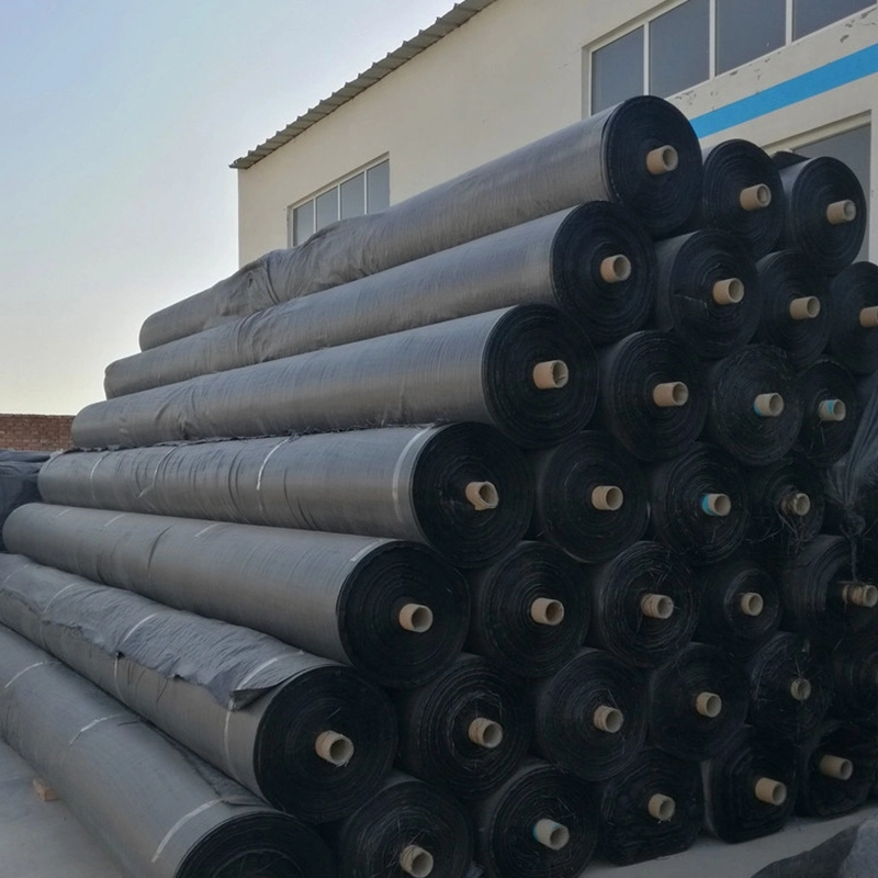 Certified Woven Fabric Stabilization PP Woven Geotextile for Soil Reinforcement