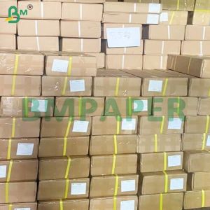 Double Side Blue Plotter Paper Rolls for CAD Engineering and Drawing