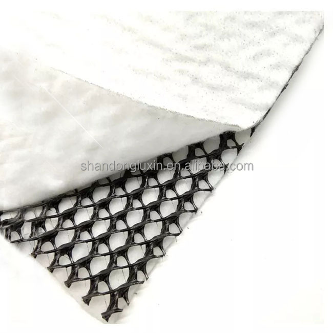 HDPE Mesh 3D Composite Drainage Composite Geo Net Geonet for Durable Drainage Solution