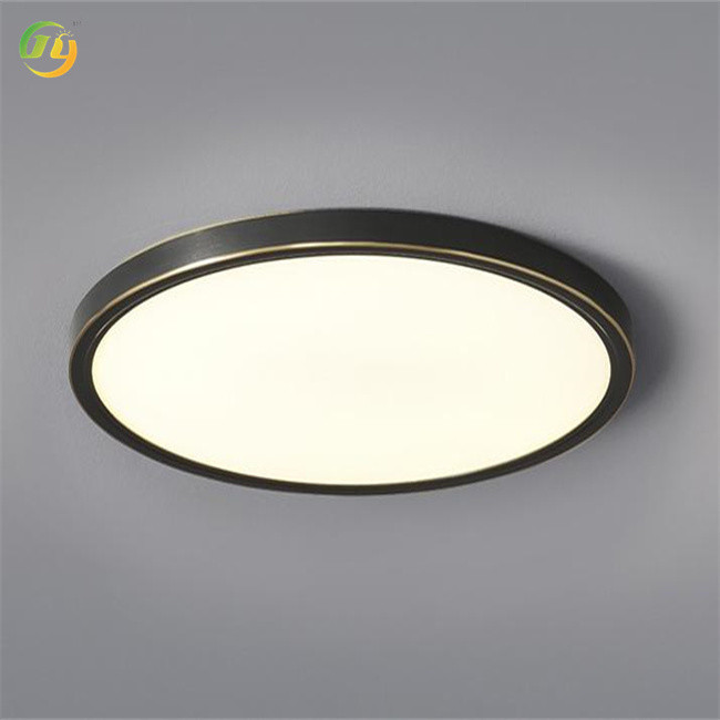 LED Ceiling Lamp End Design Modern Simple and Environmentally Friendly
