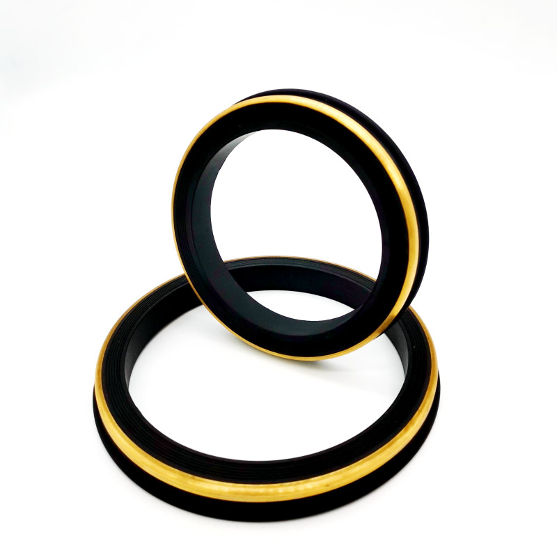 Diaphragm Pump Repair Kit NBR FKM Rubber Material