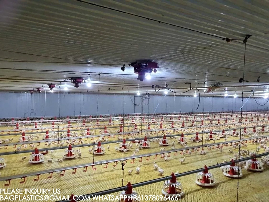 Poultry Farm Equipment Chicken House Animal Feeder Galvanized Automatic Chicken Feeder
