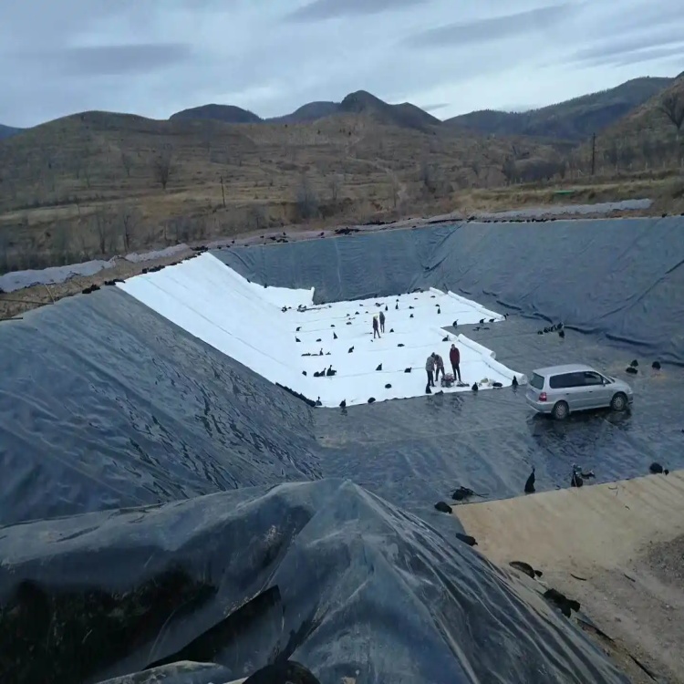 Double Texture/Double Smooth HDPE Geomembrane Industrial Design Style Fish Tank Liner