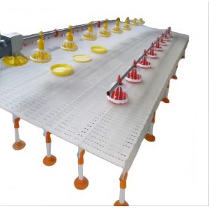 Automatic Feeding System For Broilers And Layers