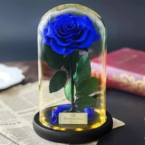 Real Preserved Forever Rose, Eternal Rose, Galaxy Rose, Preserved Flowers Flower Crafts Preserved roses