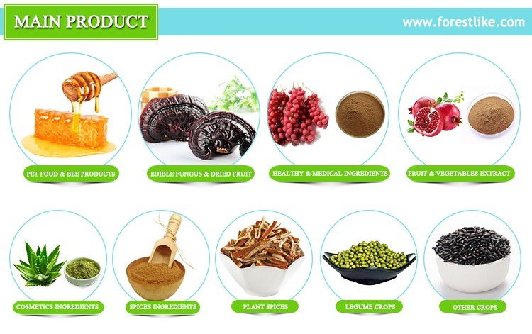 Hot Antitumor Lower Blood Sugar and Fat Product Moringa Leaf Extract