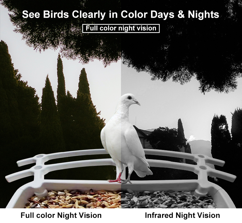 IP66 Waterproof 4MP Smart Bird Feeder 2.5L Wildlife Smart Bird Camera