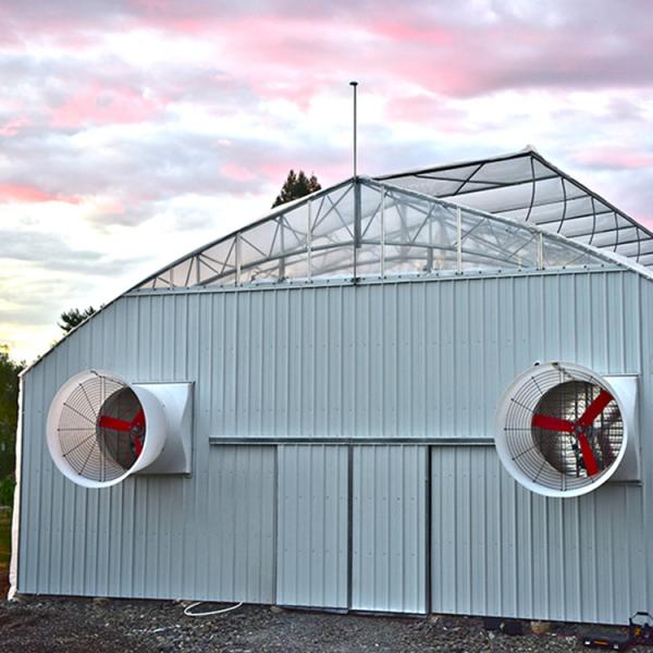 Blackout Plastic Film Single Tunnel Automatic Greenhouse Blackout System Light