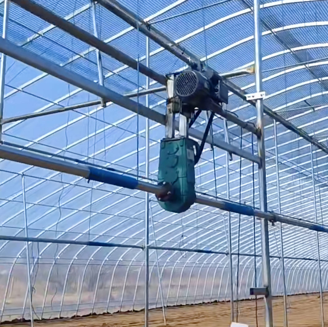 Tunnel Greenhouse for Agriculture and Vegetables