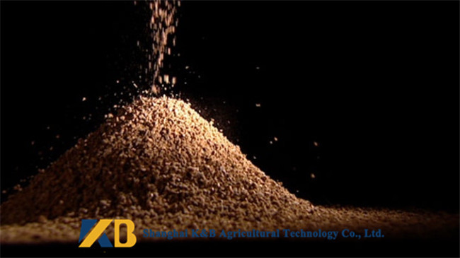 Nutritious Cattle Feed Concentrate 65% High Protein Content Slight Smell And Taste