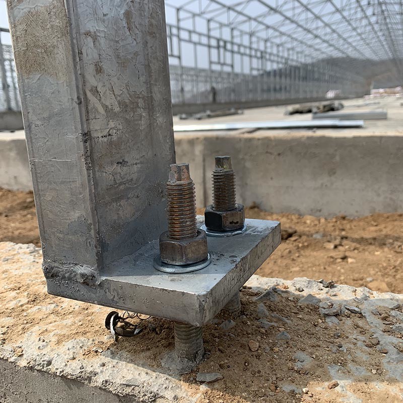 Light Steel Structure Poultry Farming Structures Poultry House