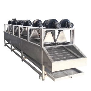 Continuous Fruit And Vegetable Processing Line Dehydrated Dried Equipment