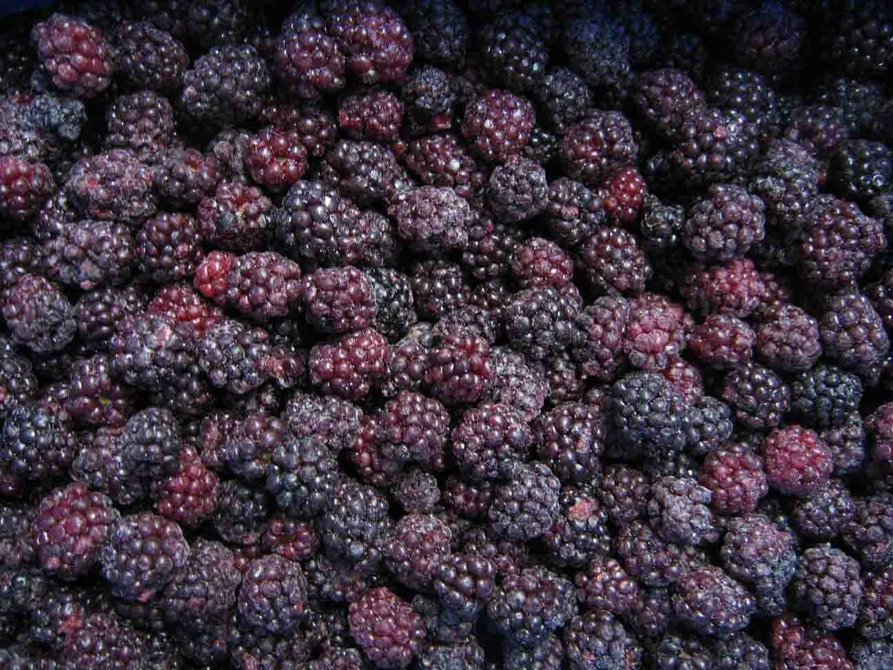 Frozen Fruits Berries Hot Sale and High Quality IQF Frozen Blackberry