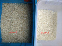 316 Contacted Part Stainless Steel Pink White Sea Salt Optical Color Sorter Machine With Full Colorful CCD Camera