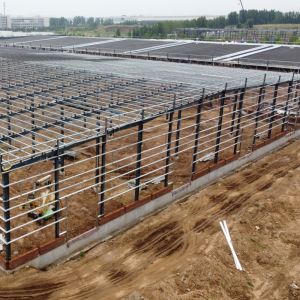  Prefab Steel Structure Warehouse with H-Section Beams and PPGI Cladding Manufactures