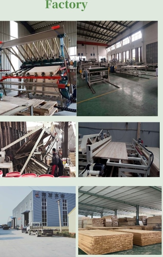 Paulownia Wood Boards with Free Sample Moisture Content 8%-12% Modern Design Style