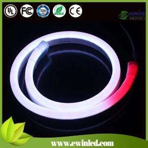 China 24V Dream Color LED Neon Flex with CE ROHS Approval,with Factory price on sale
