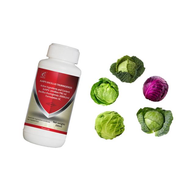 Special Insect Virus Bio Insecticide AcNPV Manage Diseases Of Cruciferous