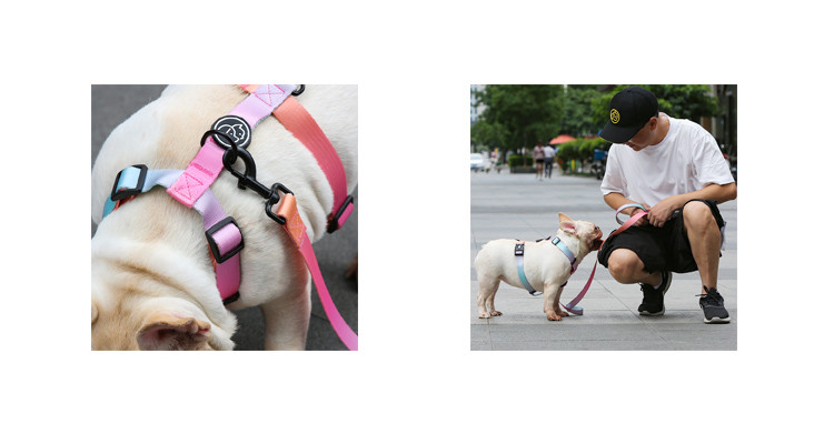Polyester cute dog leash and collar set Anti Break Metal Buckle Lable With Handle