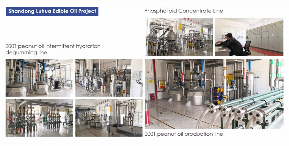 Cooking Edible Oil Production Line Equipment FFB Turnkey Service