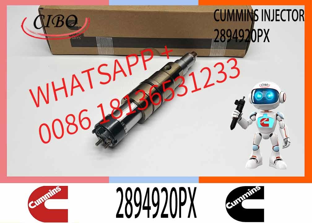 Common Rail Injector Fuel Injector 2894920PX 2058444 2482244 2031386 For ISZ13 Excavator DC09 DC16 DC13