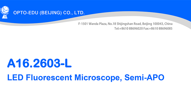 Trinocular Fluorescence Light Microscope With Mercury Bulb A16.2603-L
