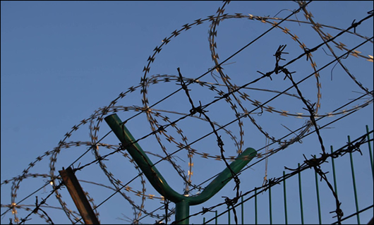 Guaranteed Quality Unique Galvanized Barbed Wire 50 KG Per Roll GI Barbed Wire Bunnings For Protection