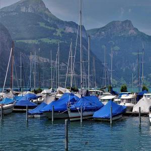 Surface Dealing LDPE Coating Blue PE Tarpaulin 200gsm 2m*100m Roll Canvas Cover