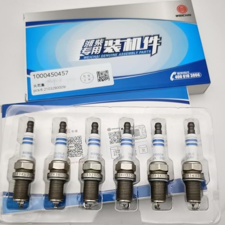 Howo Weichai Engine Spark Plugs 1000450457 Size scale vertebrae