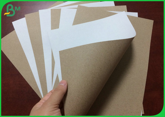 Recycled Pulp Jumbol Roll 170gsm 200gsm C1S Grey Back Paper For Beer Carton 