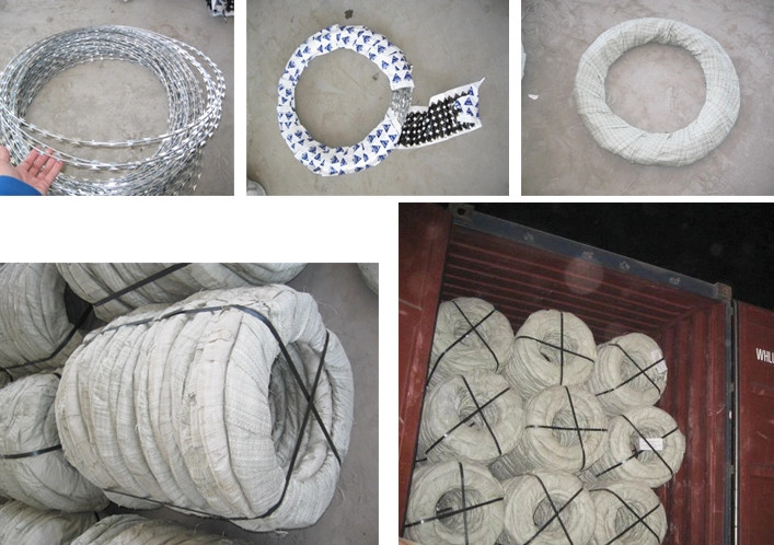 Low Carbon Cross Type Hot Dip Galvanized Razor Wire 500mm Coil Diameter 22mm±1mm