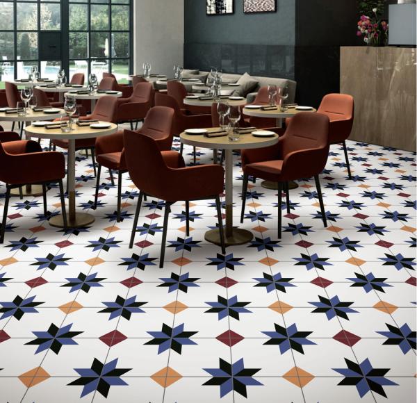 Encaustic 200x200mm Floor Ceramic Rustic Tile For The Hotel And Grade AAA White