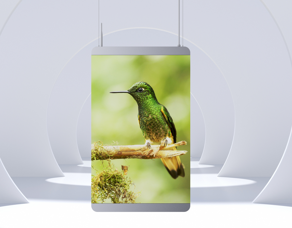 Indoor WiFi 4G USB LED Poster Screen P2.5 P3 P4 P5 Fashion Design
