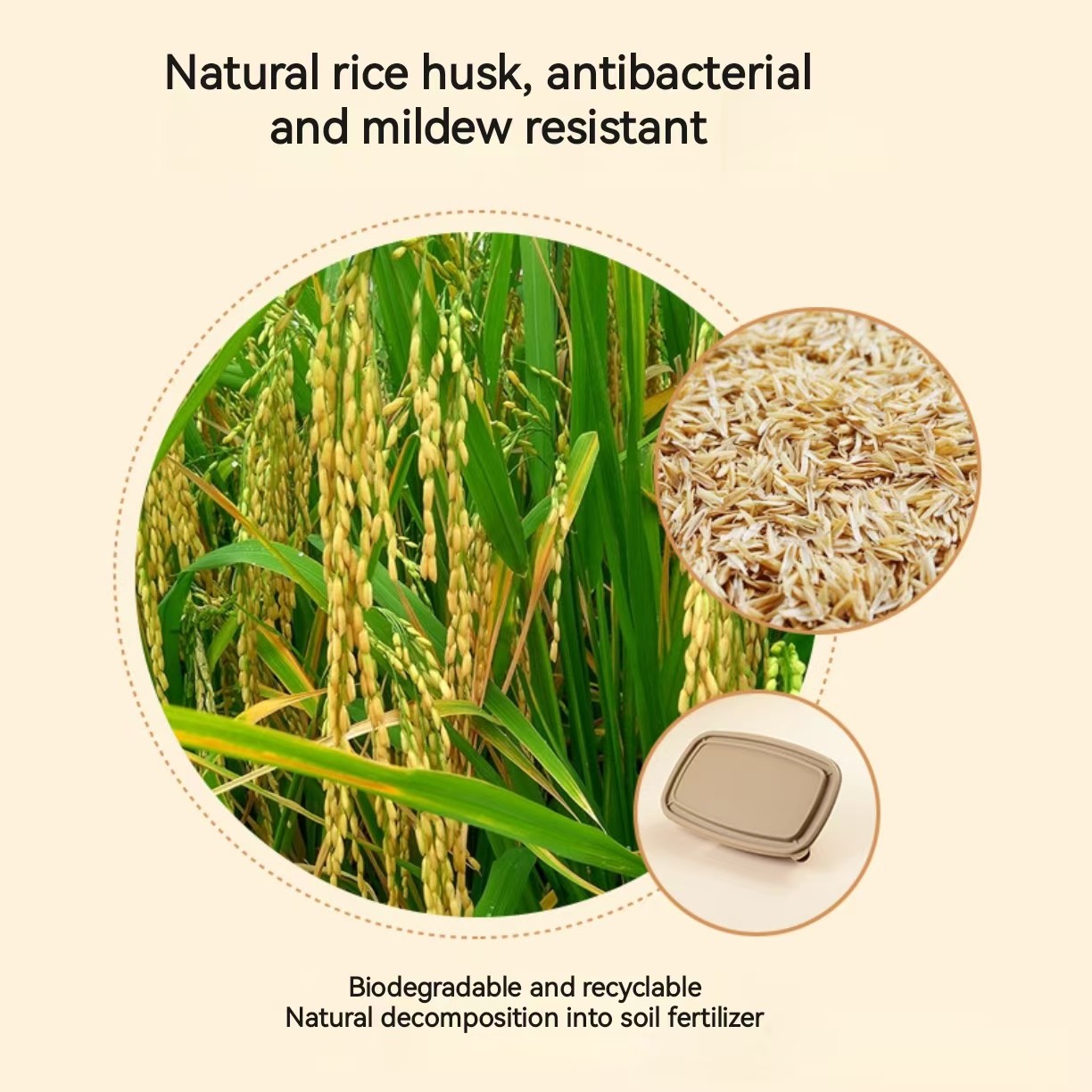 Wholesale 5 compartments environmentally friendly rice husk starch based degradable lunch box with lid
