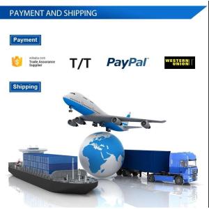 High Quality COFDM Modulation Wireless Audio Video Transmitterc&Receiver With