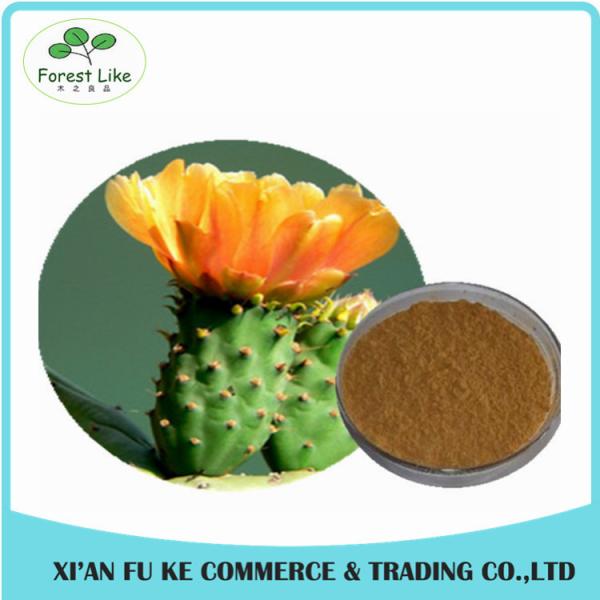 Phamaceutical Ingredient High Quality Low Price Loss Weight Product Cactus