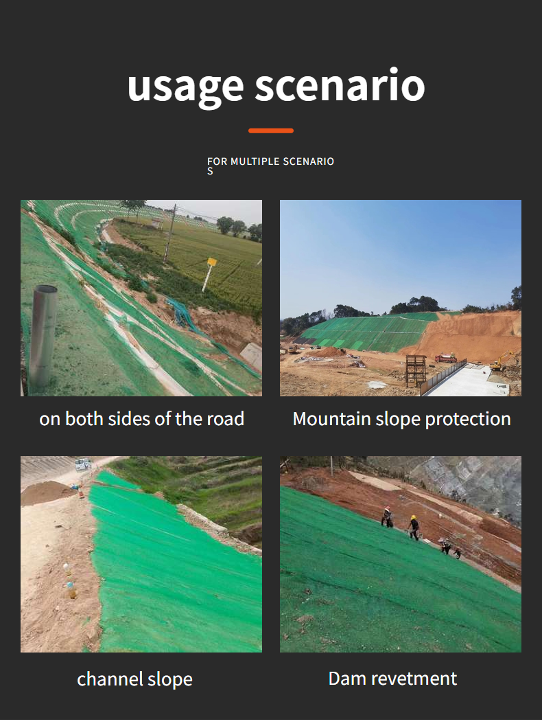 Reinforced Green 3D Geomat for Slope Protection Onsite Training Offered