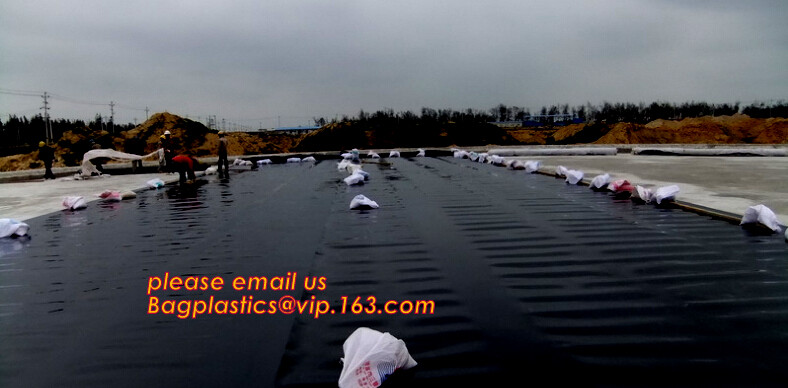 eco-friendly hdpe geomembrane liner geomembrane price,eco-friendly hdpe geomembrane liner waterproofing membranes BAGEAS