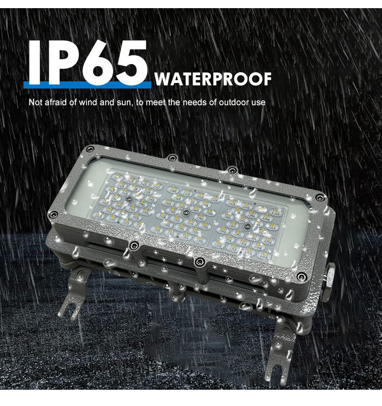 Professional Manufacturer Ip65 Waterproof SMD Led Explosion-Proof Light