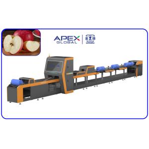 Stainless Steel Apple Sorting Machine PLC Control With 10 Channels