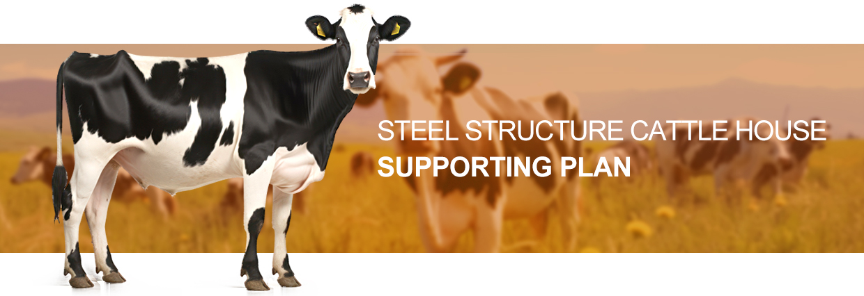 ISO9001 2008/CE/BV Certified Prefabricated Steel Beams H Beams Livestock Shed for Cow