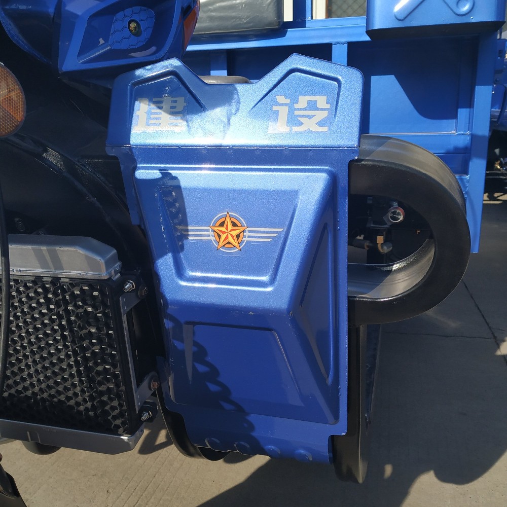 China 300cc BestSale HeavyLoadingDeliveryCargoPetrolTypeThreeWheelMotorbikeBenzinTruckTrailersCargoTricycleMotorcycle