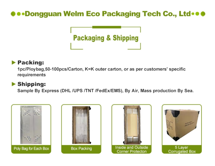 Biodegradable Burger Hamburger French Fries Boxes Package Customized Shape