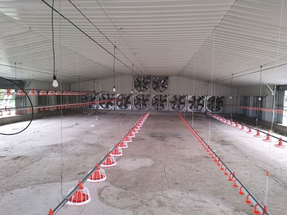 AiSi ASTM Steel Poultry House Steel Structure Chicken House Customized
