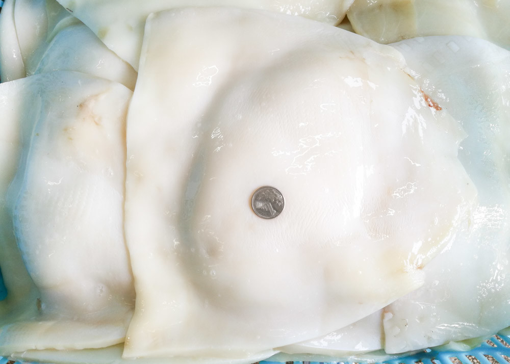 Equator suqid fillet, frozen giant squid fillet 1000g 2000g Size