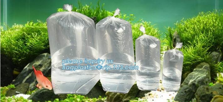 Poly Bags, Plastic Bags & Clear Bags in Stock, Poly Bags | Plastic Bags for Shipping | Staples, Poly & Plastic Packaging