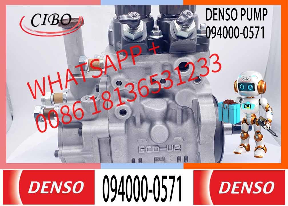 6251-71-1121 Fuel Diesel Injection Injector Pump 094000-0570 094000-0571 094000-0572 094000-0573 094000-0574 for Komatsu