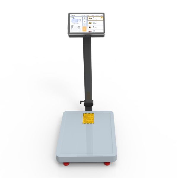 10.1" LCD Touch Screen Industrial Floor Scale with AI Intelligent Android System
