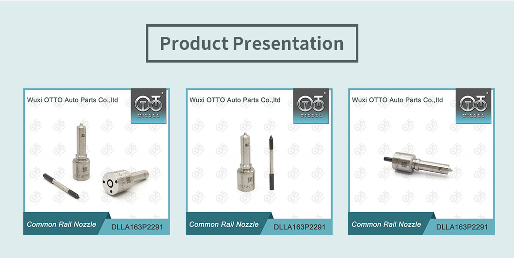 DLLA163P2291 Common Rail Nozzle For Injector 0445110476/477 0986435241
