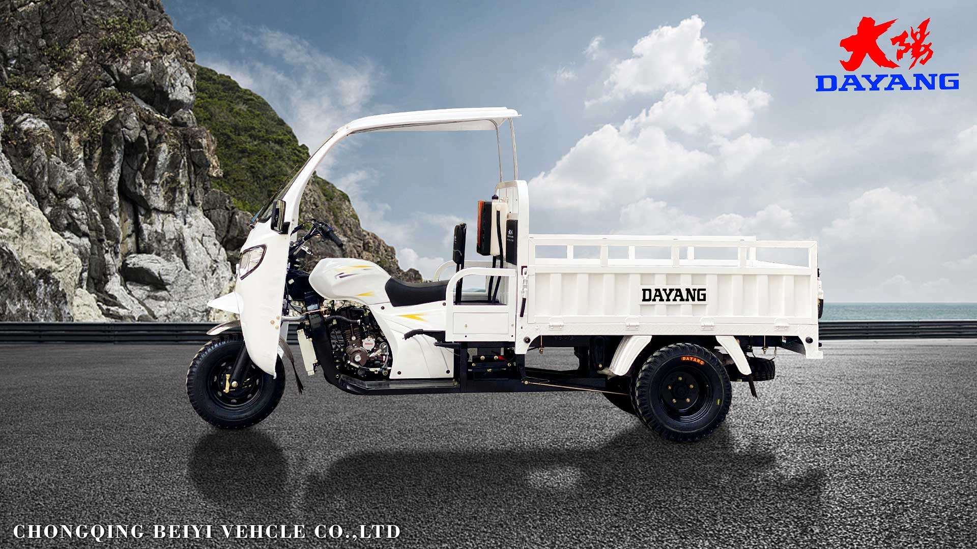 Standard Size 3 Wheel Gasoline 200cc/250cc/300cc Motorcycle Engine Cabin Cargo Tricycle
